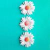 Sunflower Cake Molds, 2-Pack view 3