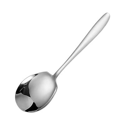 Metal Serving Spoon