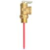 Pressure Relief Valve 10 bar/1.0 MPa, 194°F/90°C AKE Safety Valve view 1