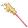 Pressure Relief Valve 10 bar/1.0 MPa, 194°F/90°C AKE Safety Valve view 2