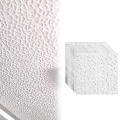Decorative 3D Ceiling and Wall Panels for Commercial and Residential Interiors