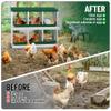 Koioplie Heavy-Duty Metal Chicken Laying Nest, 6 Compartments, Rust-Resistant view 2