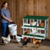 Koioplie Heavy-Duty Metal Chicken Laying Nest, 6 Compartments, Rust-Resistant view 3