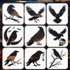 FINGERINSPIRE 9-Piece Crow Stencil Set with Brush 15x15cm view 1
