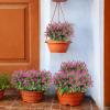 Jingyash Artificial Plants for Outdoor Use view 2
