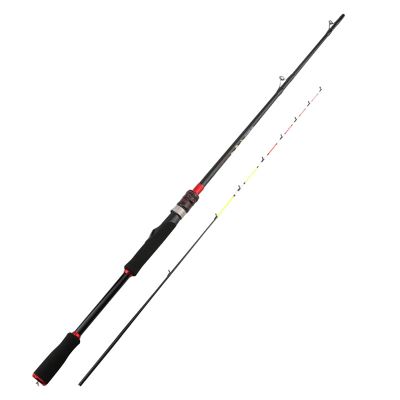 Shore Cast Sensitive Baitcasting Rod