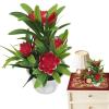 Artificial Potted Plants - Greenery Fake Plant Decor view 1