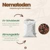 SF Nematodes Against Fungus Gnats (For Treating 500 m² - 250 Million) view 2