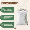 SF Nematodes Against Fungus Gnats (For Treating 500 m² - 250 Million) view 3