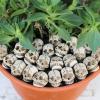 ZnttUu 20-Piece Smiling Bone Skull Ornament Set view 4
