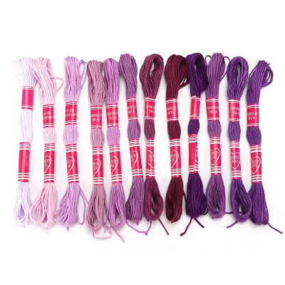 Fdit Polyester Embroidery Thread Set, 12-Piece Gradient