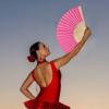 Foldable Hand Fan 20.3 cm view 3