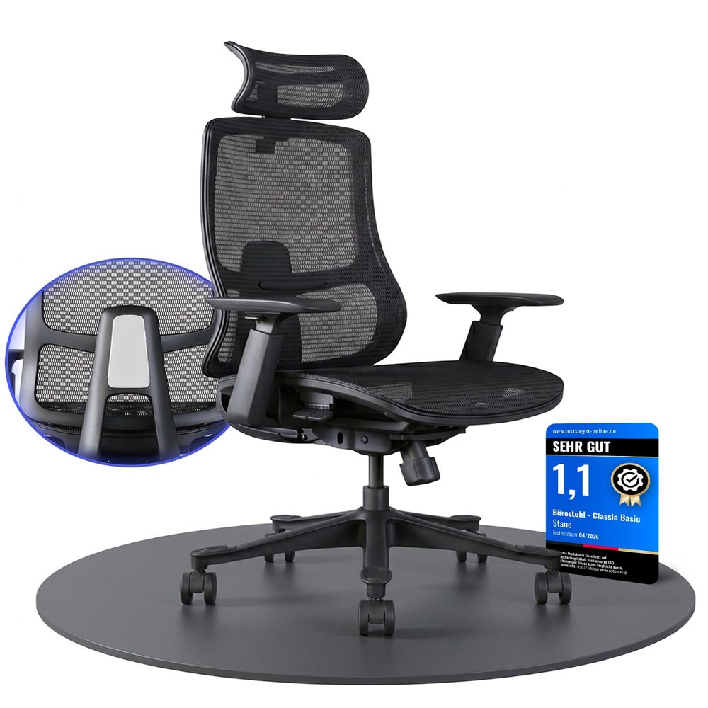 Stane Ergonomic Office Chair, PC Chair with Footrest, High Weight Capacity