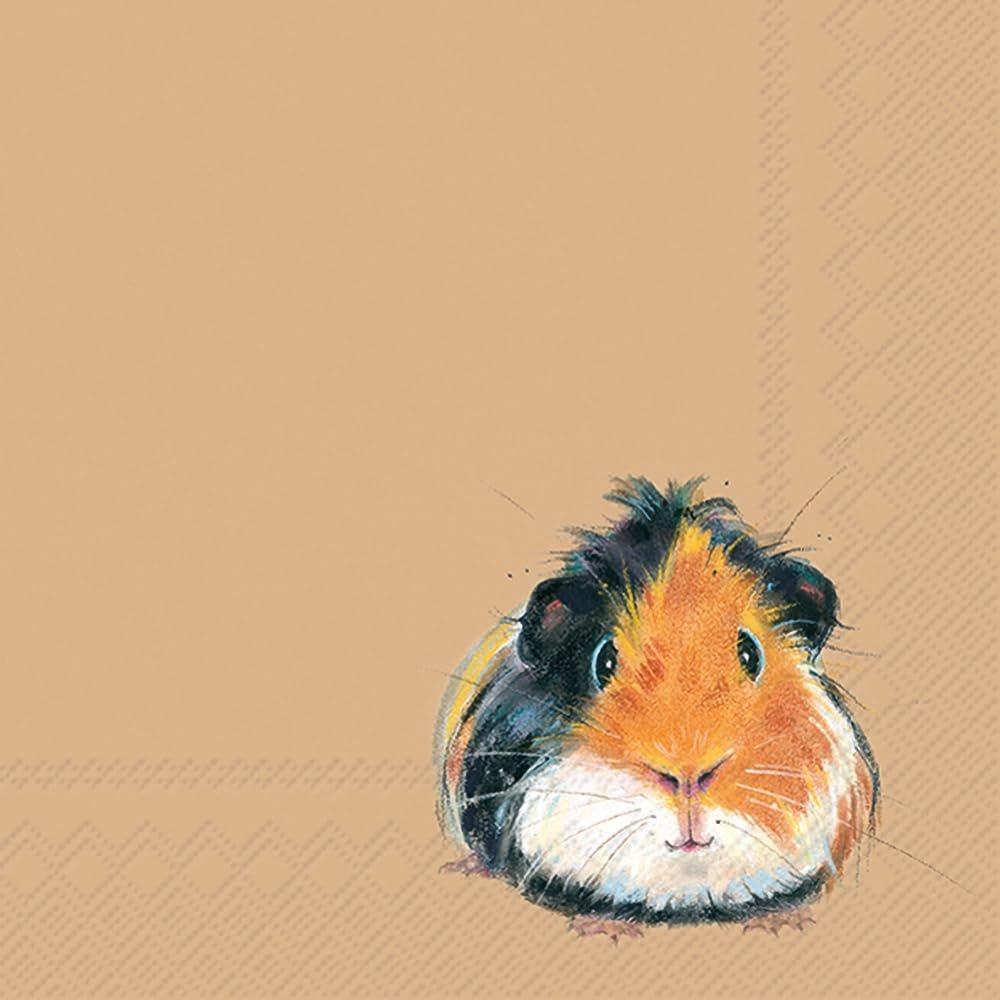 Pedro Napkins 20 pcs 33x33 cm Paper