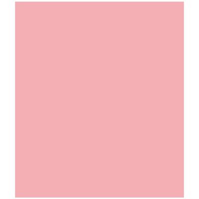 Netuno 50x Colored Paper Pink A4 21 x 29.7 cm 80g Rainbow Printer Paper