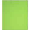 Netuno 50 Sheets Green Colored Paper, DIN A4, 21 x 29.7 cm, 80 gsm view 1