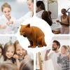 3D Printed Animal Toothpaste Dispenser view 4