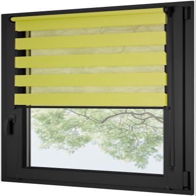 RENA Roller Blinds for Windows Without Drilling - Day and Night - Double Roller Blind with Hooks - Ready to Use - Window Blind - Anthracite, Adjustable Chain - 95 x 130 cm - Lime - Anthracite Mechanism