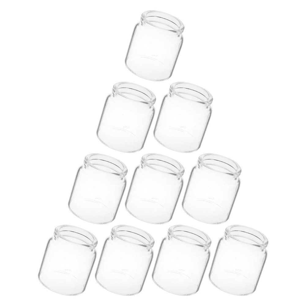 10 Miniature Glass Bottles for Succulents, Transparent Growing Containers