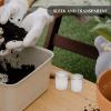 10 Miniature Glass Bottles for Succulents, Transparent Growing Containers view 3