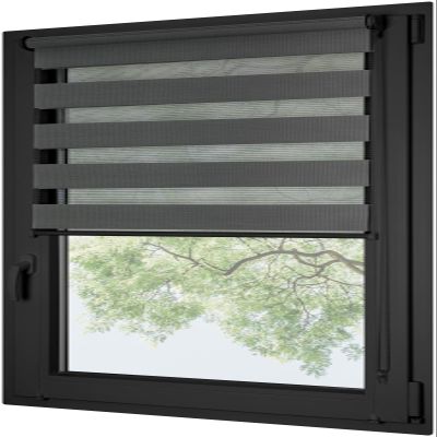 RENA Day & Night Roller Blind for Windows, No Drilling, with Hooks, 140 x 220 cm, Graphite with Anthracite Mechanism