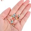 Expanded Clay Garden Pebbles, 2 Bags, 500 g, for Indoor Plants and Hydroponics view 4