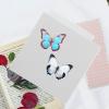VALICLUD Insect Preparation Kit EVA Butterfly Spreading Board 14 x 14 x 3 cm view 4