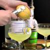 Stainless Steel Citrus Zester view 2