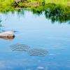 Floating Pond Net, Theft-Resistant Hexagonal Protective Net view 2