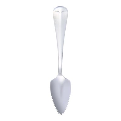 Stainless Steel Serrated Spoon