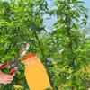 DOITOOL Steel Fruit and Berry Picker with Replaceable Blades view 4