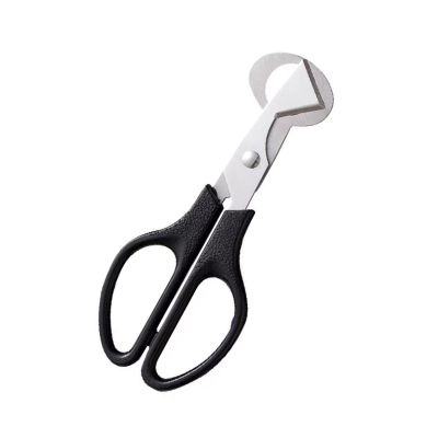 Robust Quail Egg Scissors