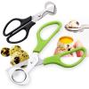 Robust Quail Egg Scissors view 2