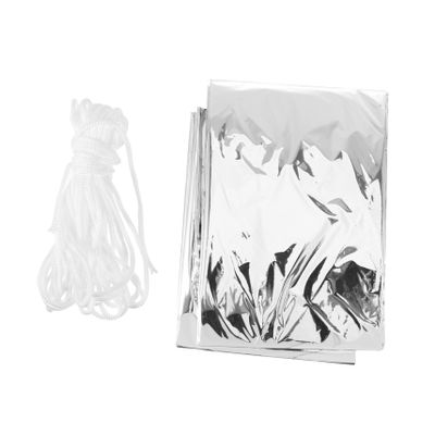 OHPHCALL Winter Theme Party Emergency Tent, 2-Pack, PET, Silver