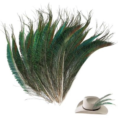 20 Pack Natural Peacock Feathers 25-30CM