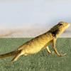 JUMPLAWN Decorative Cotton Reptile Mat with Natural Look for Tortoises and Other Reptiles view 4
