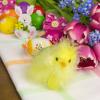 100 Yellow Craft Feathers for Decoration view 2