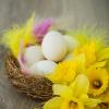 100 Yellow Craft Feathers for Decoration view 3