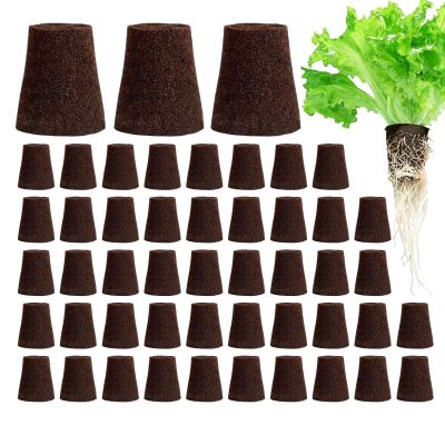 Generic Hydroponic Grow Sponges, 50 Pack, Replacement Grow Plugs for Indoor Gardening