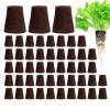 Generic Hydroponic Grow Sponges, 50 Pack, Replacement Grow Plugs for Indoor Gardening view 1