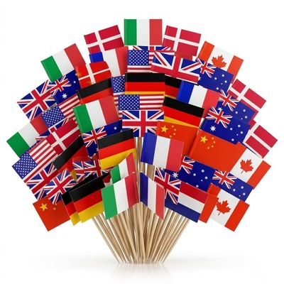 CATZUM 100-Pack Toothpicks with International Flags