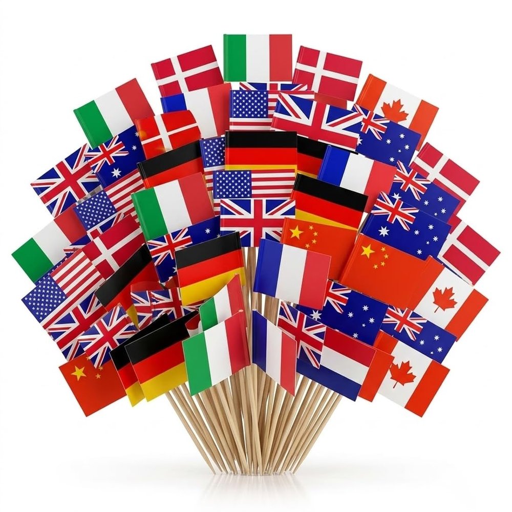 CATZUM 100-Pack Toothpicks with International Flags