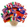 CATZUM 100-Pack Toothpicks with International Flags view 1
