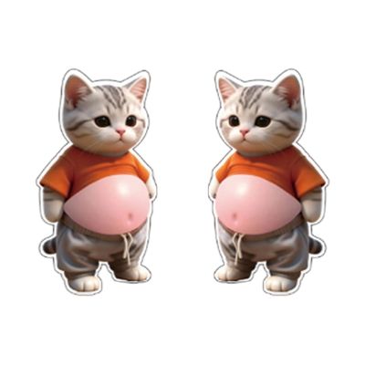 Sponge Sticker Set - 3D Kitty Theme