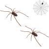 3D Spider Refrigerator Magnet view 1