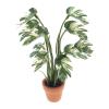 Miniature Plant Model view 1