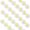 5 Yard Floral Lace Ribbon view 1
