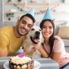 TESGADGETS Cute Paw Birthday Candle Number 3 view 4