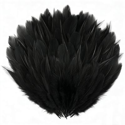 Fesnova 100 Pack Black Feathers, 8-15cm