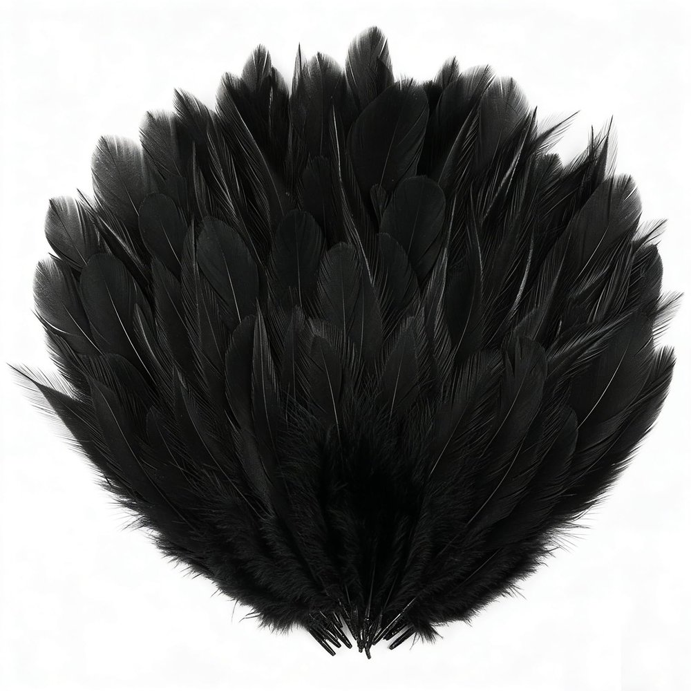 Fesnova 100 Pack Black Feathers, 8-15cm